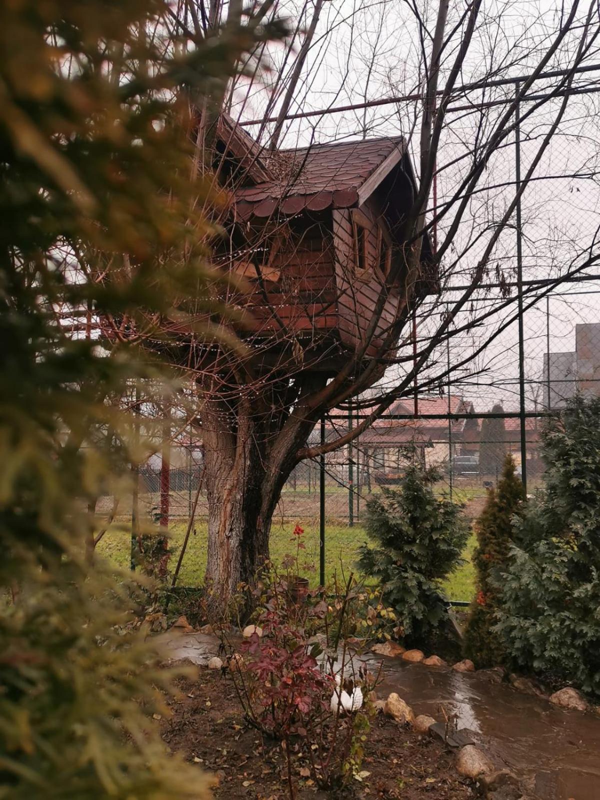 Doftana Apartaments Teşila Zimmer foto